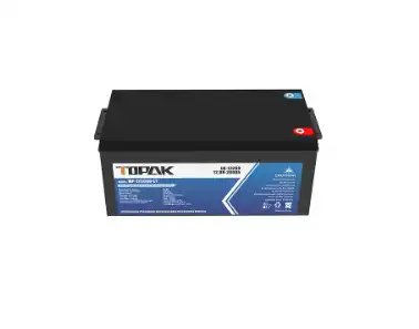 Best 12v 200ah lifepo4 lithium battery for Backup Power